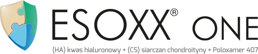 Essox One Logo