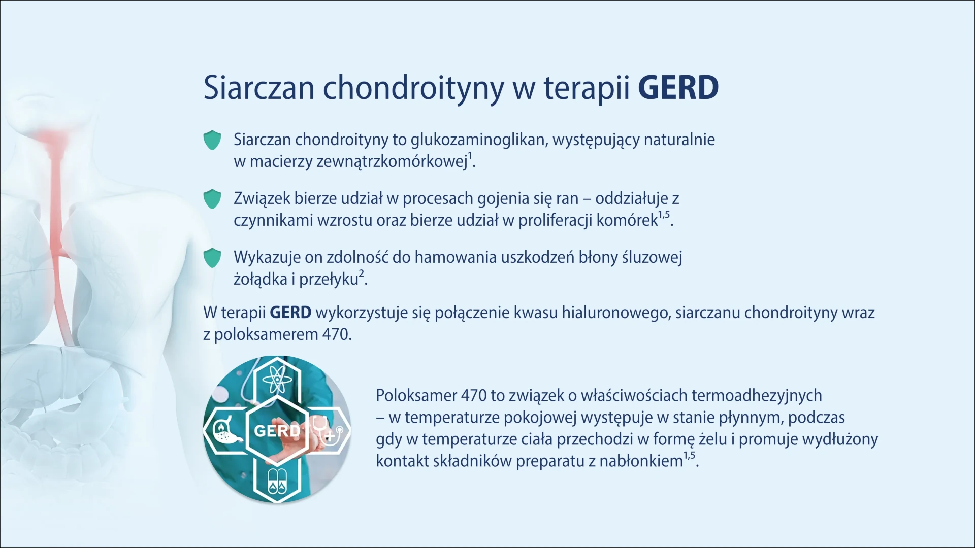 essox presentation 6