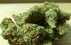 Kannabidiol w leczeniu COVID-19