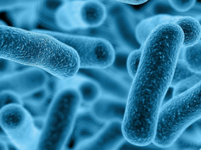 Zakażenia bakterią Legionella – jak się przed nimi uchronić?