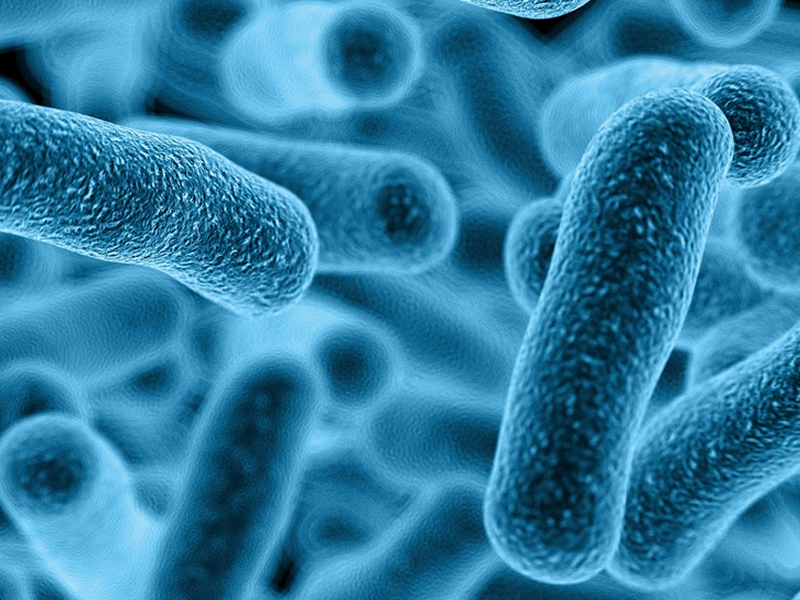 Lepiej wzbogacić swoją dietę w produkty, które są źródłem probiotyków, niż przyjmować ich suplementy (fot. Shutterstock)