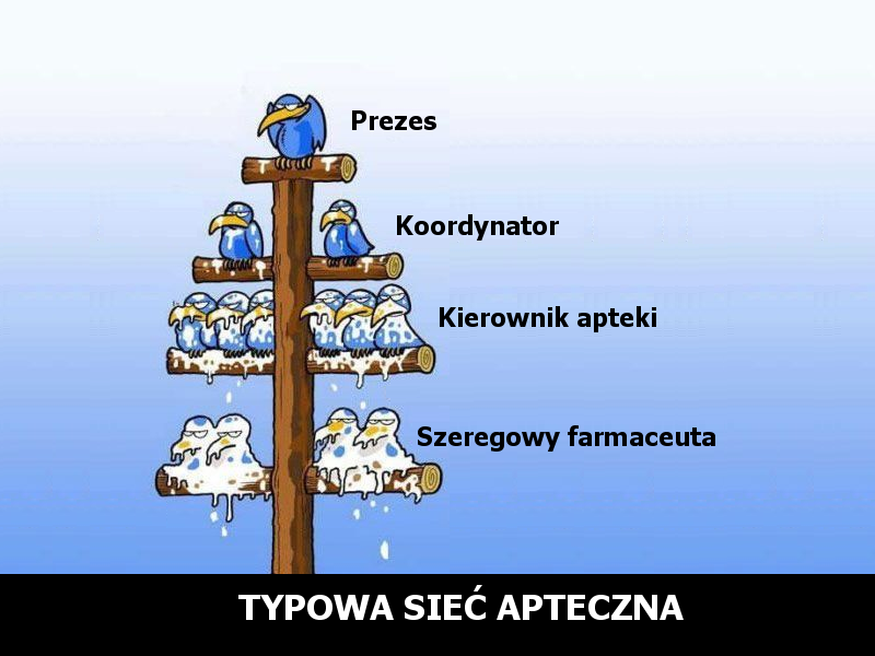 siec.png