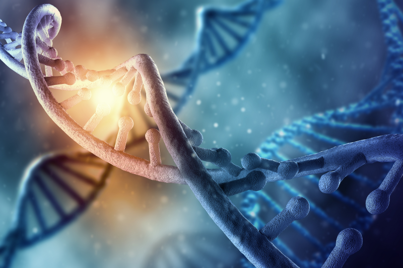 Odkrycia tegorocznych Noblistów umożliwiły opracowanie skutecznych szczepionek mRNA przeciwko COVID-19 (fot. Shutterstock)
