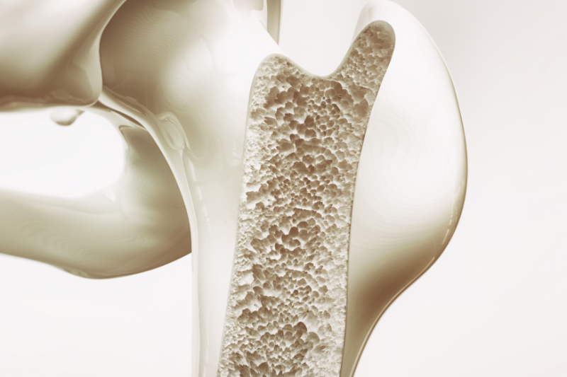 Naukowcy zastosowali hydrożel jako nośnik dla leku stosowanego w leczeniu osteoporozy (fot. Shutterstock)
