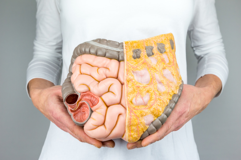Naukowcy wykazali, że 18 powszechnie używanych leków znacznie uszkadza mikrobiom jelitowy (fot. Shutterstock).