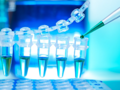 Biomed zadłużony, ale inwestuje dalej