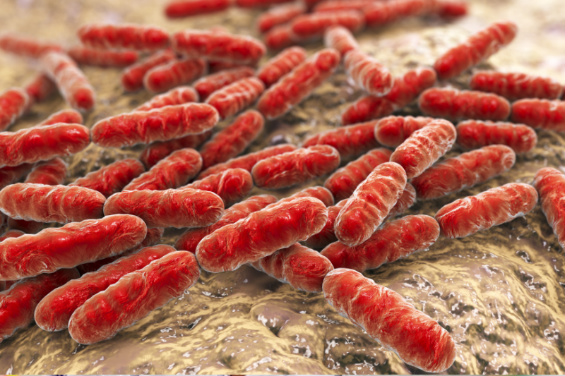 Antybiotykooporność bakterii może się zwiększać przez stosowanie środków dezynfekujących (fot. Shutterstock)