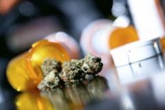 Marihuana w aptekach za trzy miesiące?
