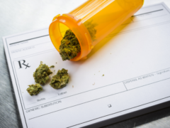 Od 31 października marihuana legalna, ale ciągle nieosiągalna w aptekach