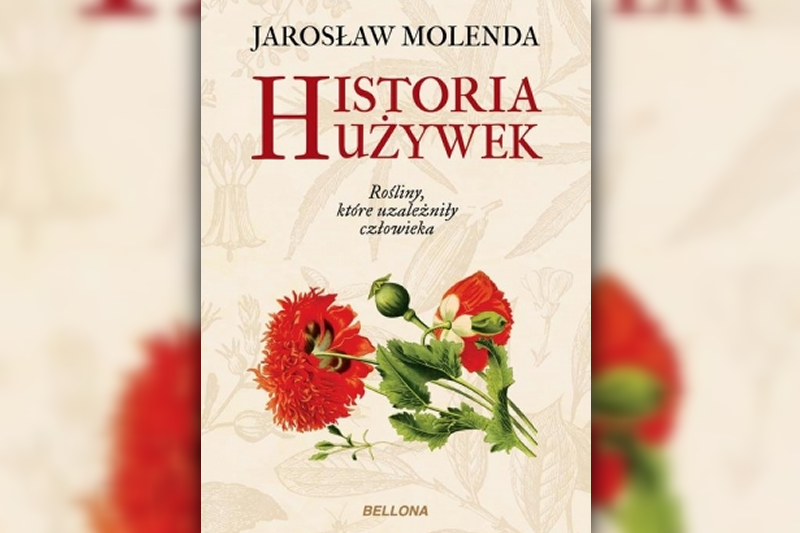Szkoda, że wydawca nie zdecydował się na bogatsze wydanie, ilustracji jest mało, są czarno białe, oprawa książki miękka, papier cienki... Mimo wszystko warto.