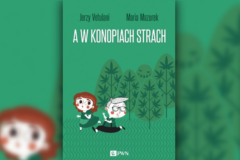 A w konopiach strach