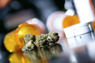 Medyczna marihuana? Sativex mają na stanie w Polsce… 3 apteki