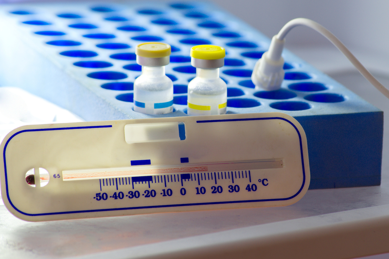 Warto zastanowić się, jak lokalnie wykorzystać maszyny gwarantujące utrzymanie chłodnej temperatury (fot. Shutterstock)