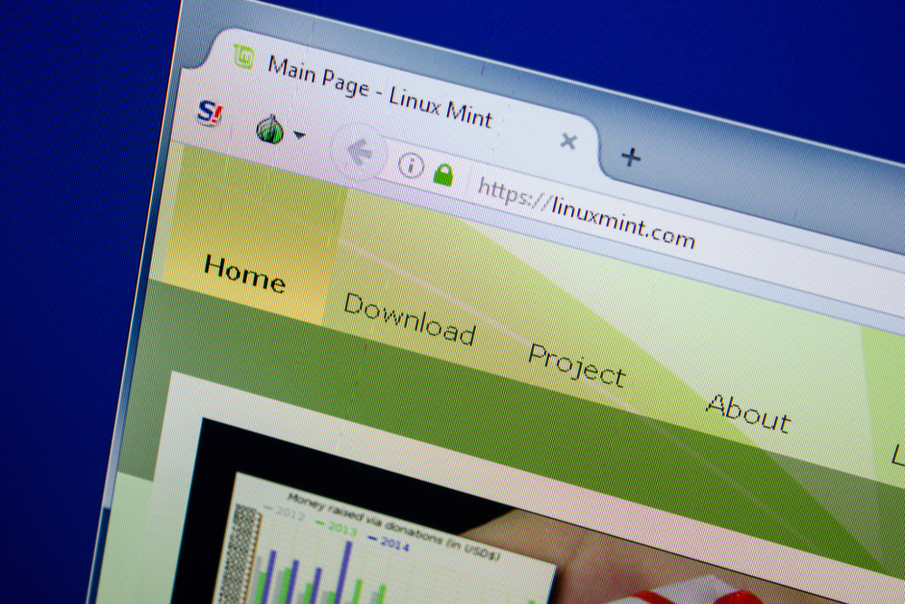 System Linux Mint 19.2 domyślnie instaluje się dosyć bogatą biblioteką oprogramowania, które jest od razu gotowe do działania (fot. Shutterstock)