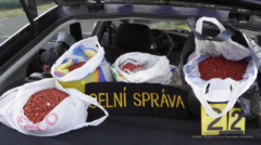 Reportaż Superwizjera TVN: „Aptekarz dostawał 2 złote górki od ceny hurtowej”