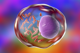 Tyfus plamisty – eksperymenty, odkrycia i epidemie…