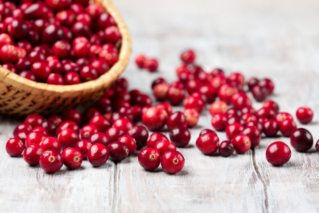 Substancje pochodzenia naturalnego w infekcjach dróg moczowych