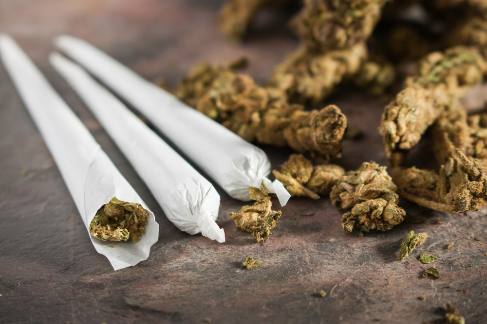 Biorący udział w akcji dostawcy marihuany mogą przekazać swoim klientom w wieku 21 i więcej lat, którzy przyjęli pierwszą lub drugą dawkę szczepienia, przygotowanego już jointa (fot. Shutterstock).