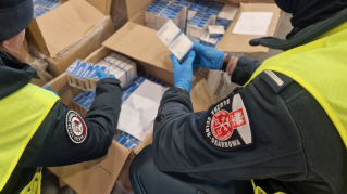 Nielegalne środki farmaceutyczne w kontenerze z Singapuru