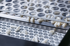 FDA przeprowadzi niezapowiedziane inspekcje zagranicznych producentów leków