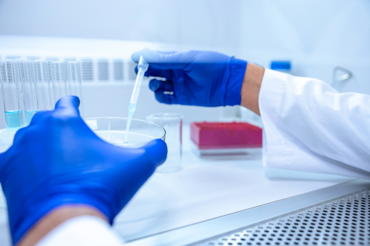 Dłonie w niebieskich rękawiczkach w laboratorium