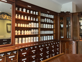 „Atlas farmakognostyczny” w Muzeum Farmacji w Łodzi