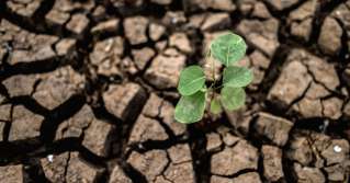Zmiany klimatyczne zagrożeniem dla łańcucha dostaw?